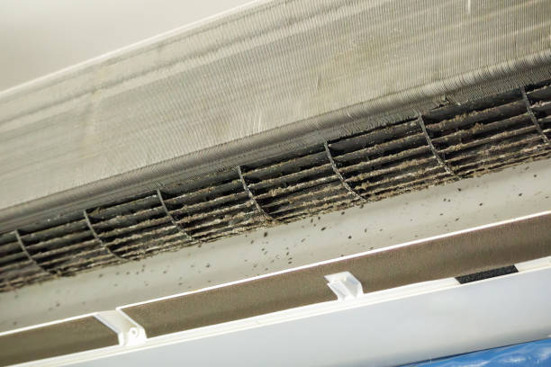 Best Home Air Vent Cleaning  in Park City, KS